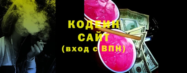 apvp Каменногорск