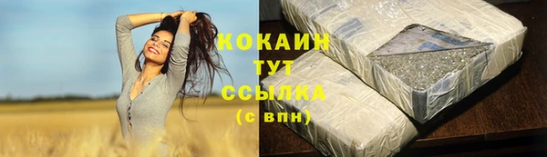 ГАЛЛЮЦИНОГЕННЫЕ ГРИБЫ Каменка