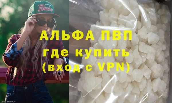 ГАЛЛЮЦИНОГЕННЫЕ ГРИБЫ Каменка